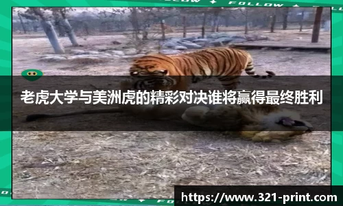 九游体育平台